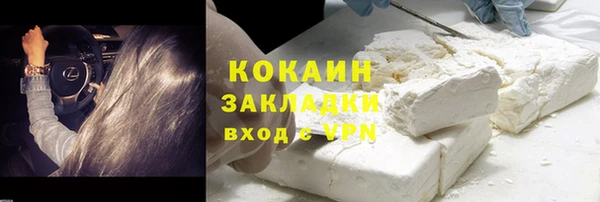 прущие грибы Болхов