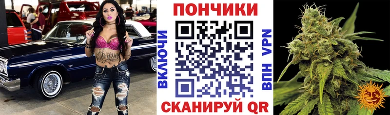 как найти наркотики  Кола  Каннабис марихуана 